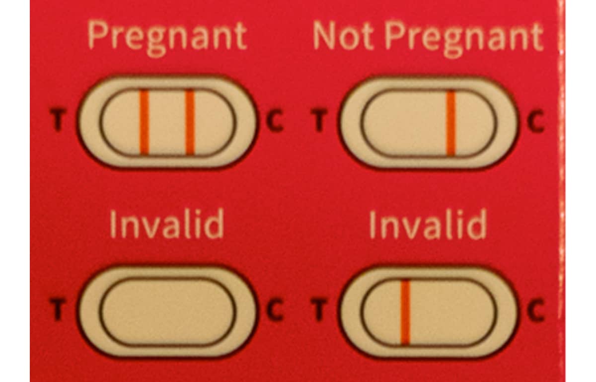 Family Wellness Pregnancy Test Faint Line